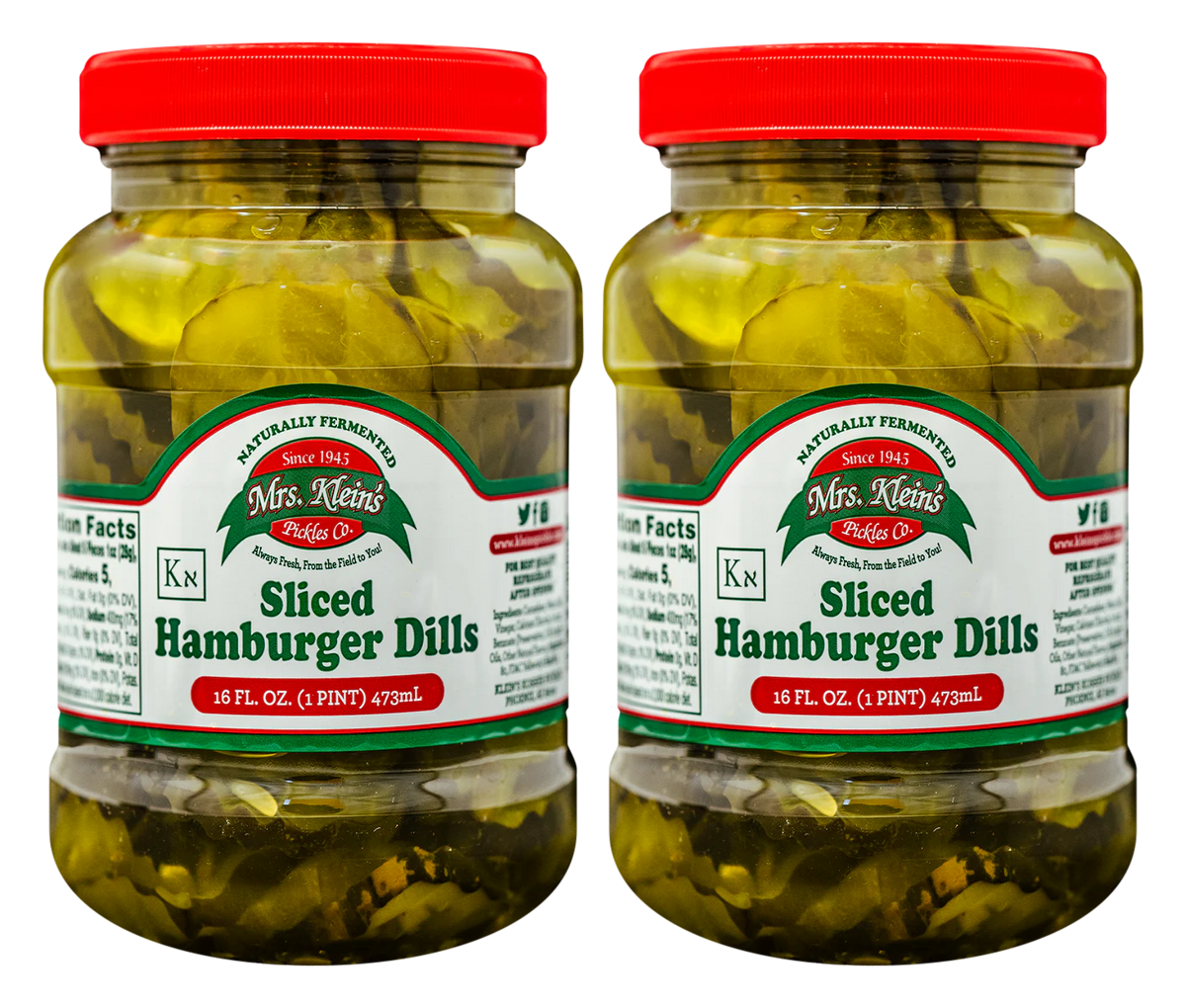 Dill Chips (16oz) - 2-Pack (1 pint (16oz))