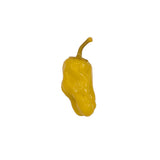 Fancy Imported Pepperoncini (32oz)